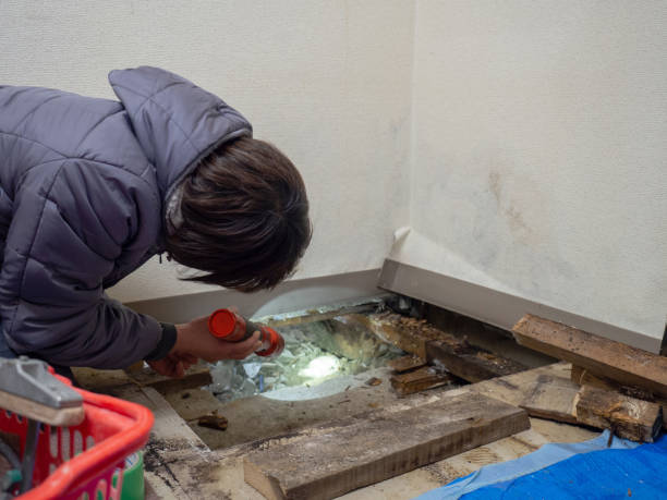 Best Crawl Space Mold Remediation  in Shoh, IL