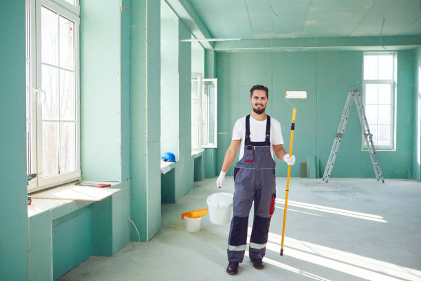 Shiloh, IL Mold Removal Company