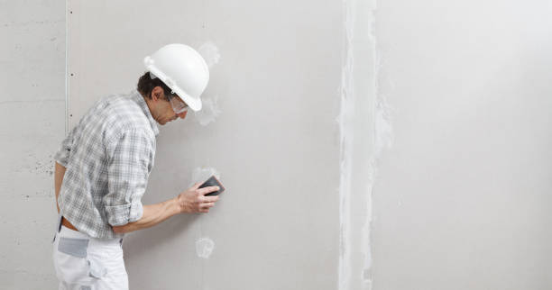 Best Basement Mold Removal  in Shoh, IL