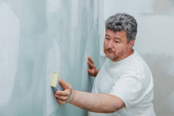 Best Residential Mold Inspection & Testing  in Shoh, IL