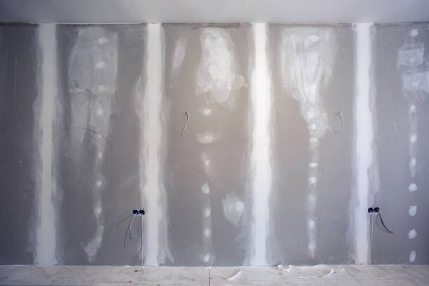 Best Mold Damage Restoration  in Shoh, IL